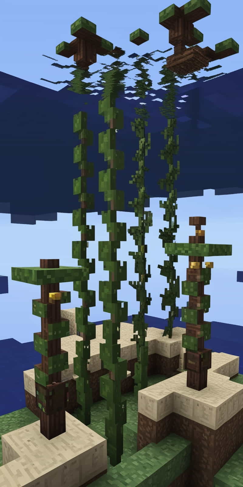 a kelp minecraft farm can provide a renewable source 2 