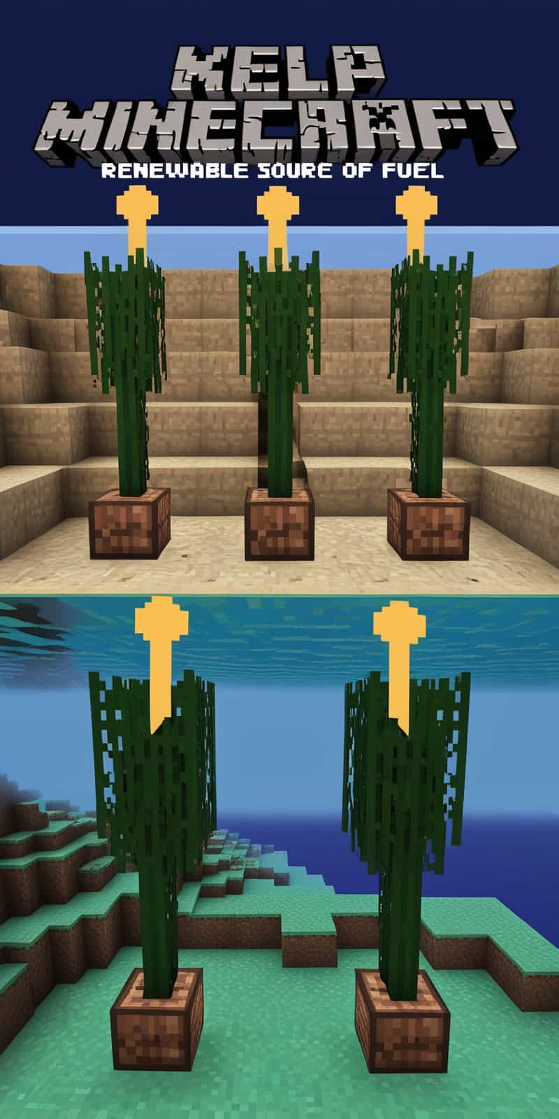 a kelp minecraft farm can provide a renewable source 