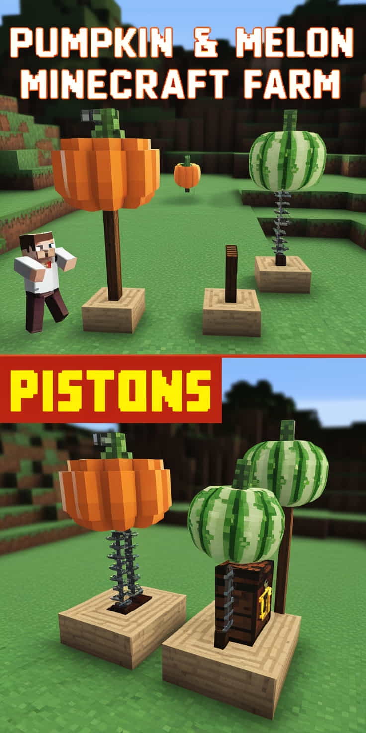 a pumpkin and melon minecraft farm using observers (2) 